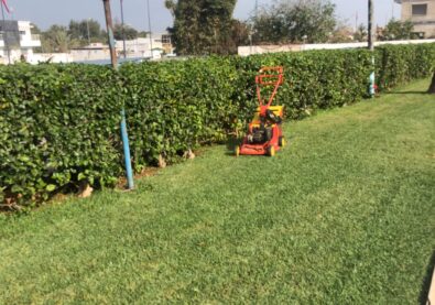 WhatsApp Image 2026-03-25 at 22.44.12